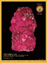 The-Mineralogical-Record-Stonetrust_Vol43No4.jpg